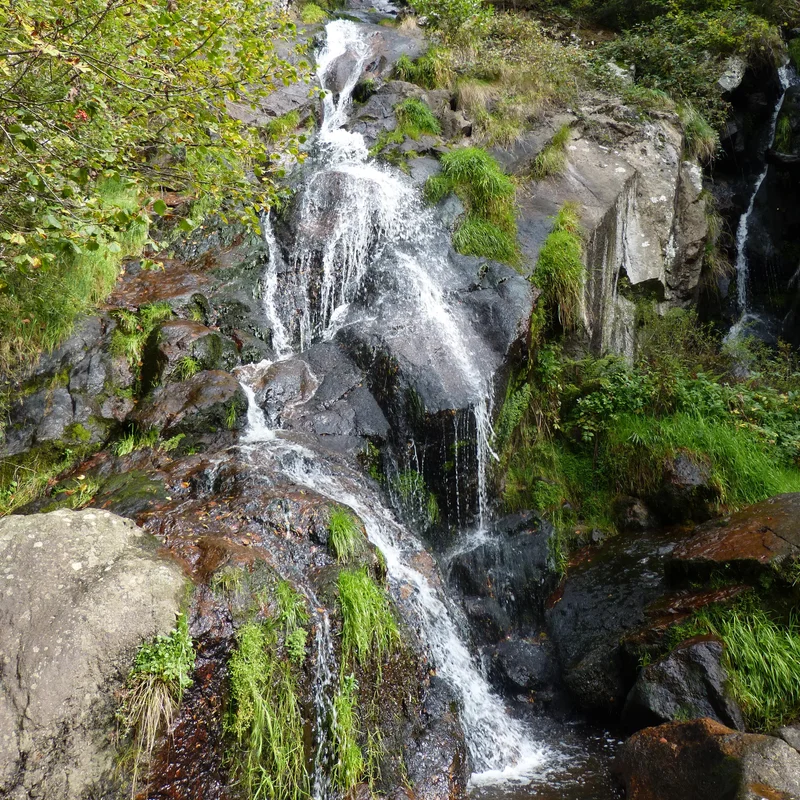 Randonnée Le Creux-de-l'Oulette · Saillant