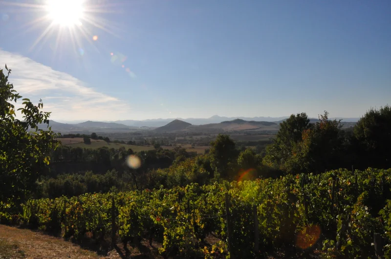 Randonnée Le Mas, un village vigneron · Égliseneuve-près-Billom
