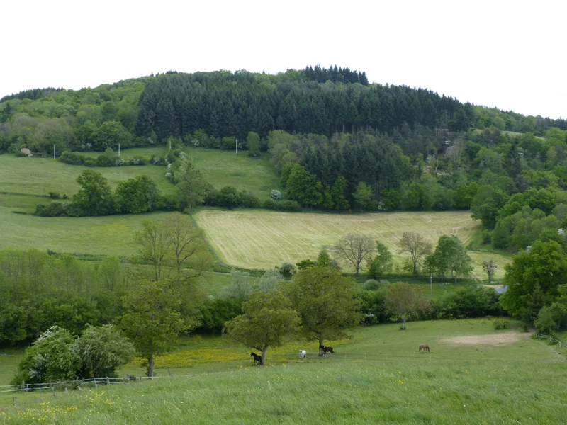 Randonnée Le puy de Courdeloup · Isserteaux