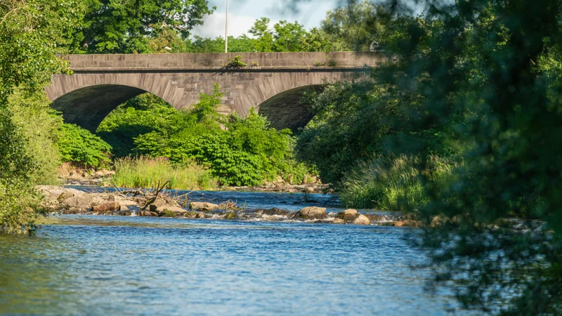 Randonnée Les berges de la Dore · Peschadoires