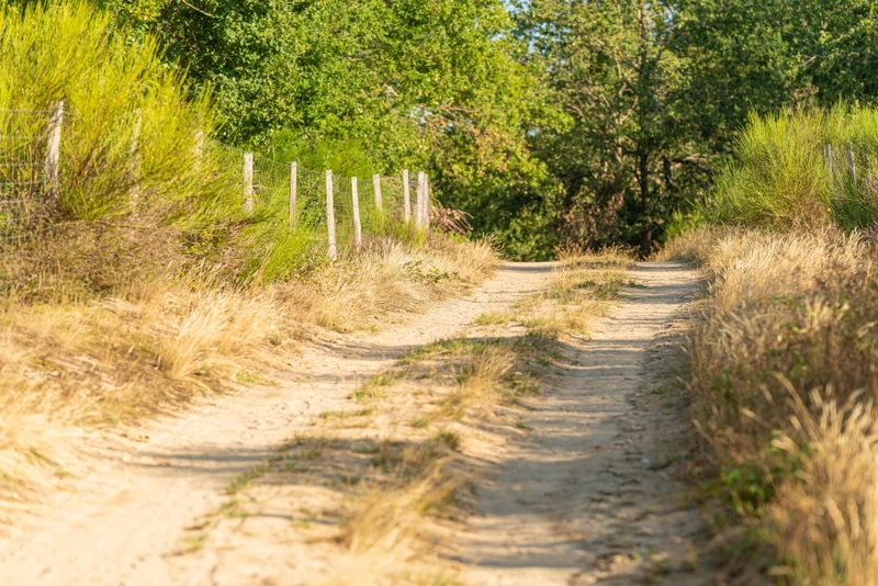 Randonnée Les dunes des Girauds-Faures · Orléat