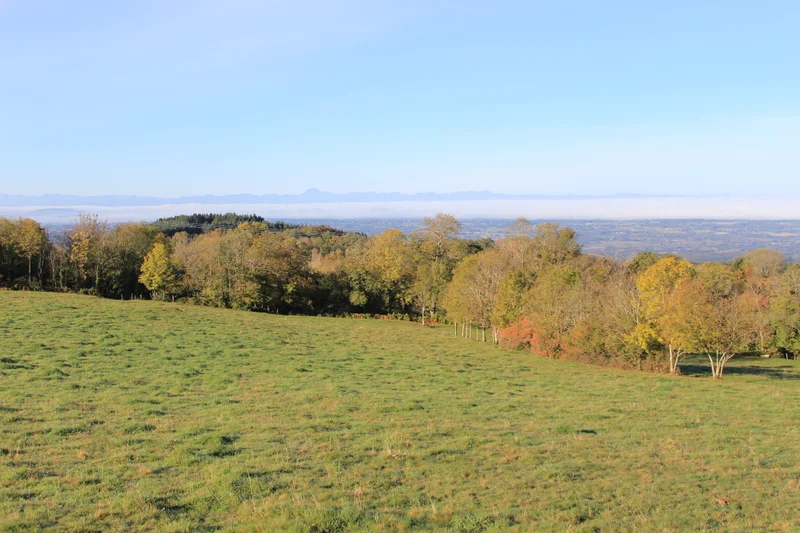 Randonnée Le sentier de la pierre folle · Thiers