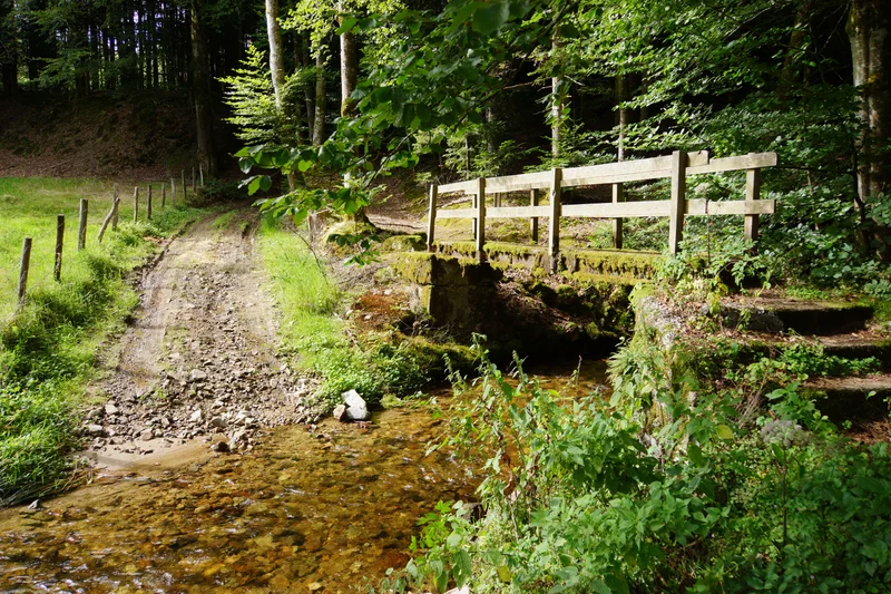 Randonnée Le sentier de l'Henriette · Auzelles