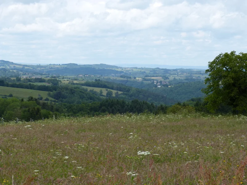 Randonnée Les gorges de la Dore · Tours-sur-Meymont