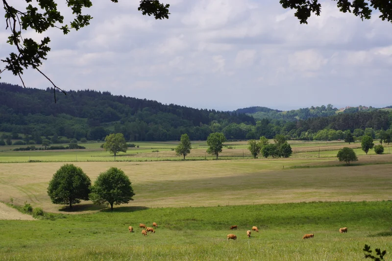Randonnée Les piqueurs · Saint-Jean-des-Ollières
