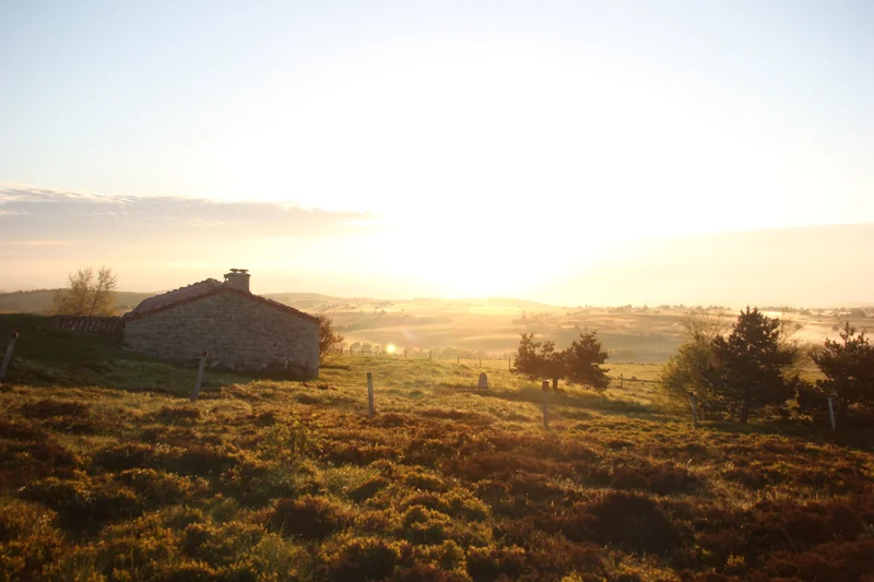 Randonnée Les plateaux de Pierre-sur-Haute · Chalmazel-Jeansagnière