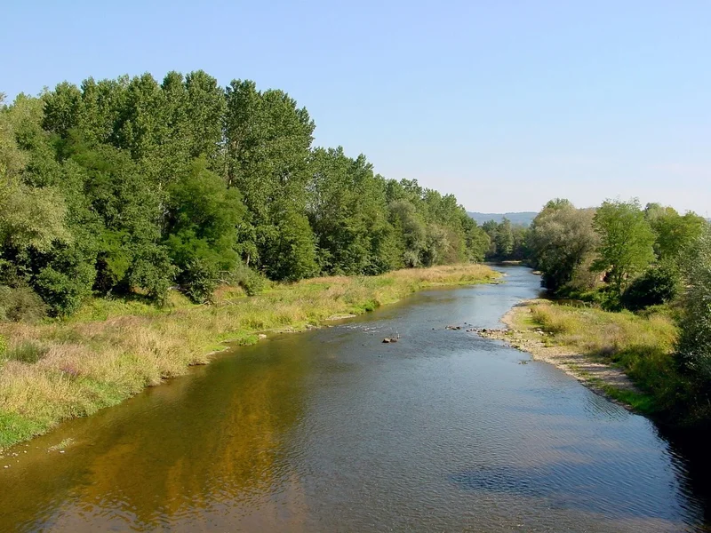 Randonnée L'étang des Grands Graviers · Puy-Guillaume