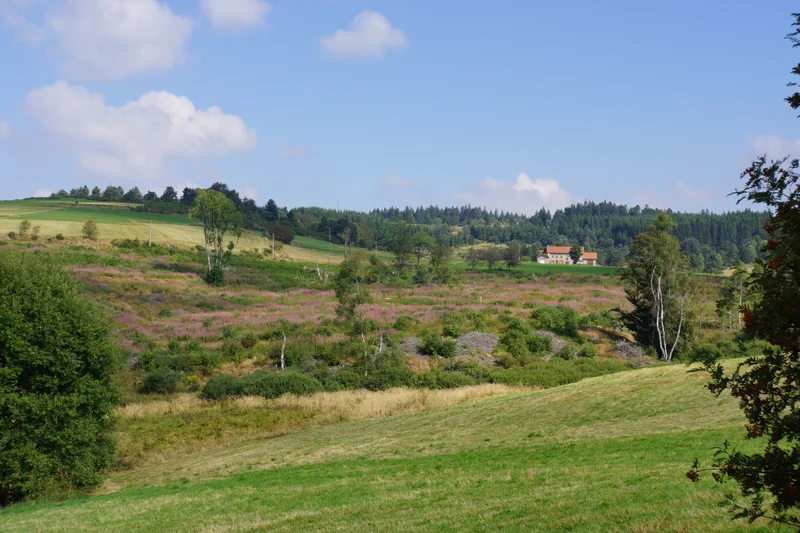 Randonnée Sur la piste du Chevreuil · Églisolles