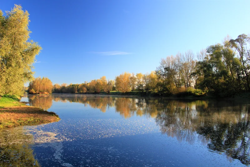 Randonnée Sur les bords de l'Allier · Joze