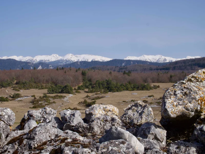 Randonnée Circuit du Château · Vassieux-en-Vercors