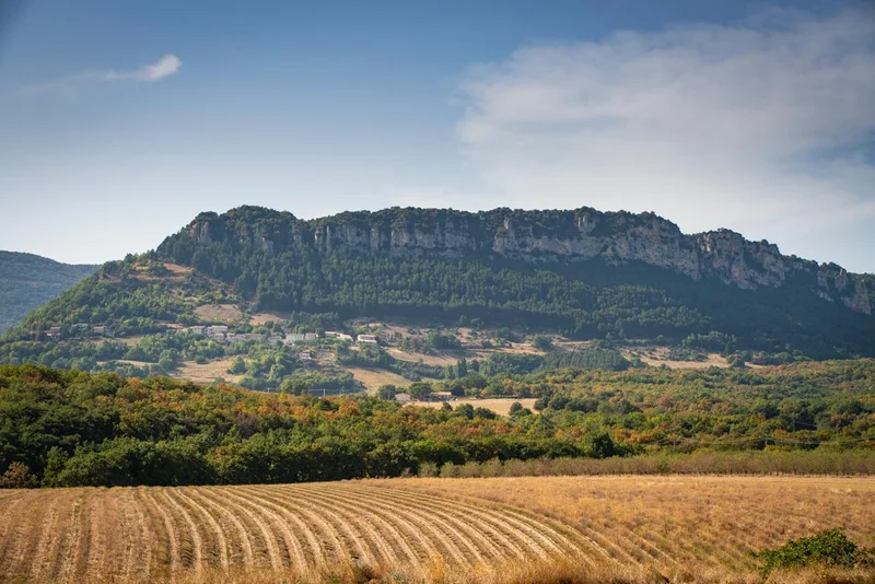 Randonnée Côte Blanche · Gigors-et-Lozeron