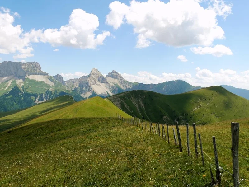 Randonnée La pointe feuillette · Lus-la-Croix-Haute