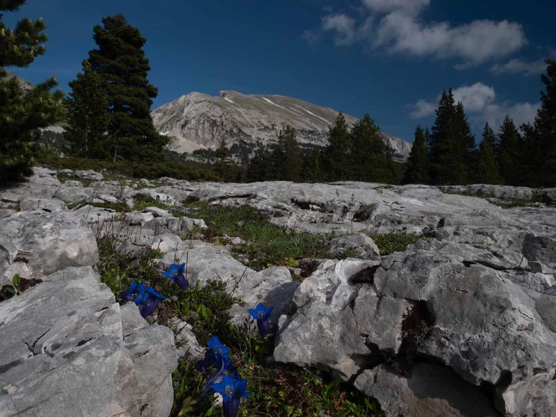 Randonnée Le Grand Veymont depuis le plateau de Beure · Saint-Agnan-en-Vercors