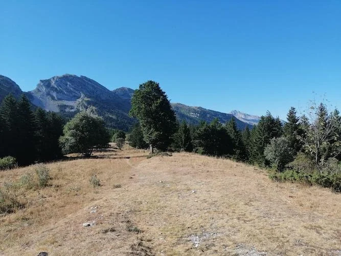 Randonnée Les Allières, sentier du canyon · Lans-en-Vercors