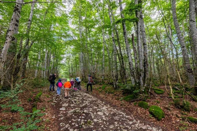 Randonnée Les Ayards · Saint-Martin-en-Vercors