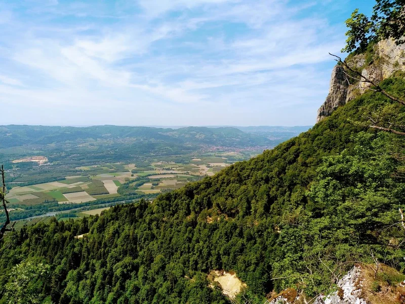 Randonnée Le sentier des essences forestières (Pied Frais) · La Rivière