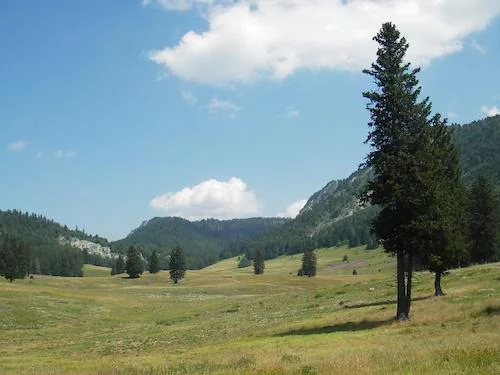 Randonnée Porte d'Herbouilly · Saint-Martin-en-Vercors