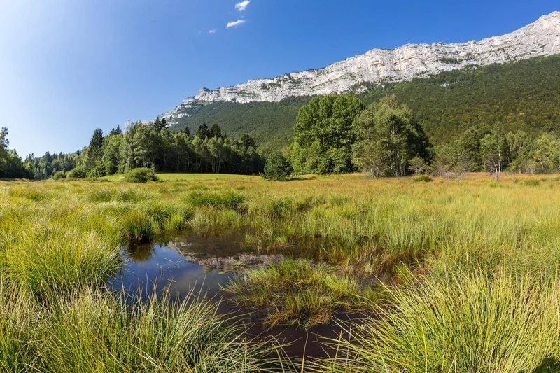 Randonnée Immersion nature ENS Vercors Isèrois (0) · Claix