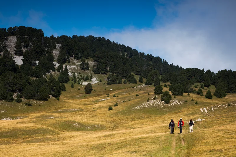 Randonnée Traversée des Hauts-Plateaux du Vercors à pied via le GR®91 (itinéraire des Grandes Traversées du Vercors) · Corrençon-en-Vercors