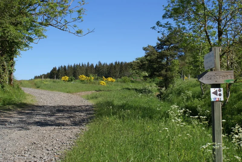 VTT Circuit VTT n°13 : Entre Vezou et Truyère · Pierrefort