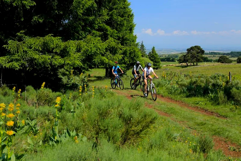 VTT Circuit VTT n°30 : Le Chemin de la Narse de Nouvialle · Valuéjols