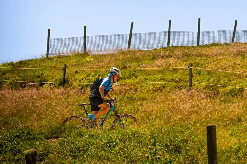 VTT N°60 - Les trois sites - Espace VTT-FFC Massif des Bois Noirs · Chalmazel-Jeansagnière