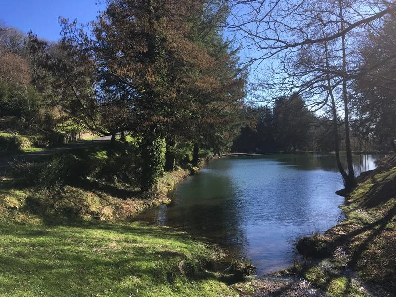 VTT Circuit VTT - Au cœur des châtaigniers · Puycapel