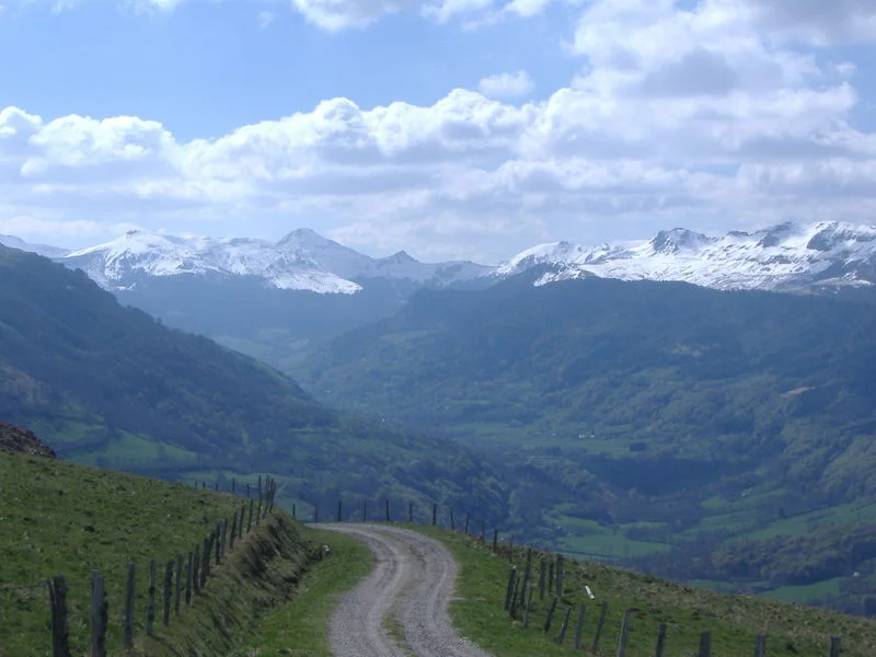 VTT La Planèze - VTT · Trizac