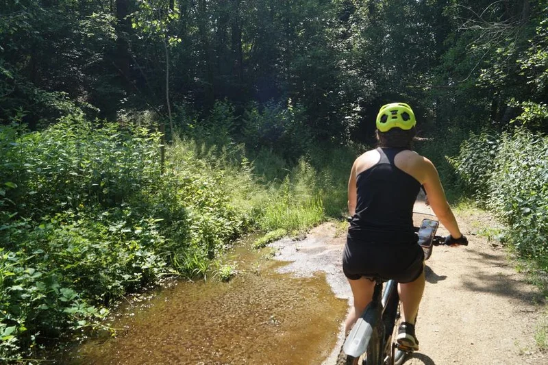 VTT N°17 Les rives de la Charpasonne · Panissières