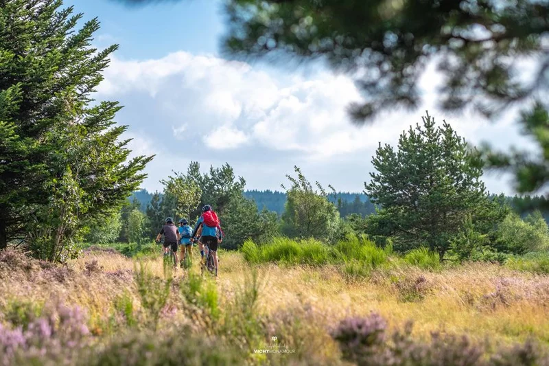 VTT N°87 – Le Pilard - Espace VTT-FFC Vichy Montagne · La Guillermie