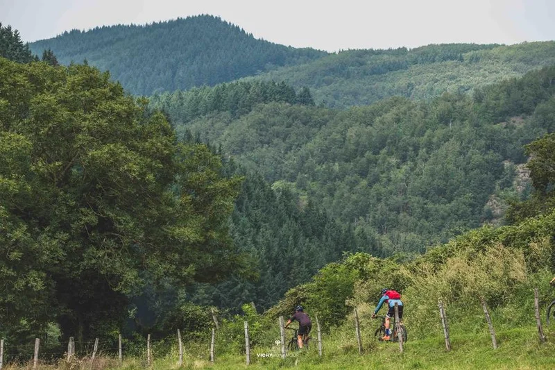 VTT N°96 – Dans les pas des Charguerauds - Espace VTT-FFC Vichy Montagne · Châtel-Montagne