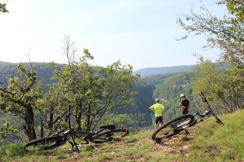 VTT Parcours VTT 52 bleu - Les Crêtes de Charabotte - Espace FFC Ain Forestière · Plateau d'Hauteville