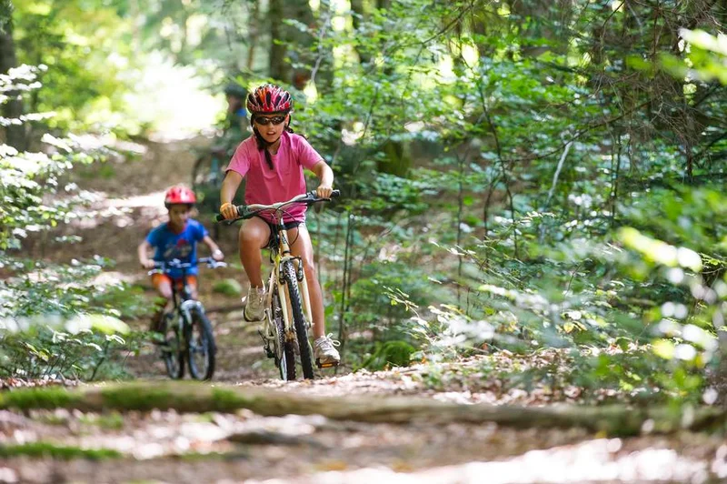 VTT Parcours VTT 61 vert - La Familiale - Espace FFC Ain Forestière · Le Poizat-Lalleyriat