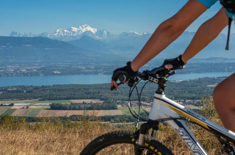 VTT Parcours VTT 80 - vert - les Devins - Espace FFC Ain Forestière · Divonne-les-Bains