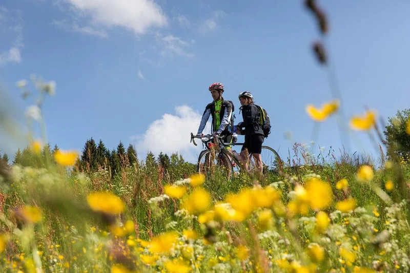 VTT Parcours VTT 81 - bleu - les Druides - Espace FFC Ain Forestière · Gex