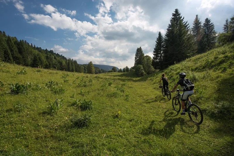 VTT Parcours VTT 82 - bleu - Les Rochassons - Espace FFC Ain Forestière · Divonne-les-Bains