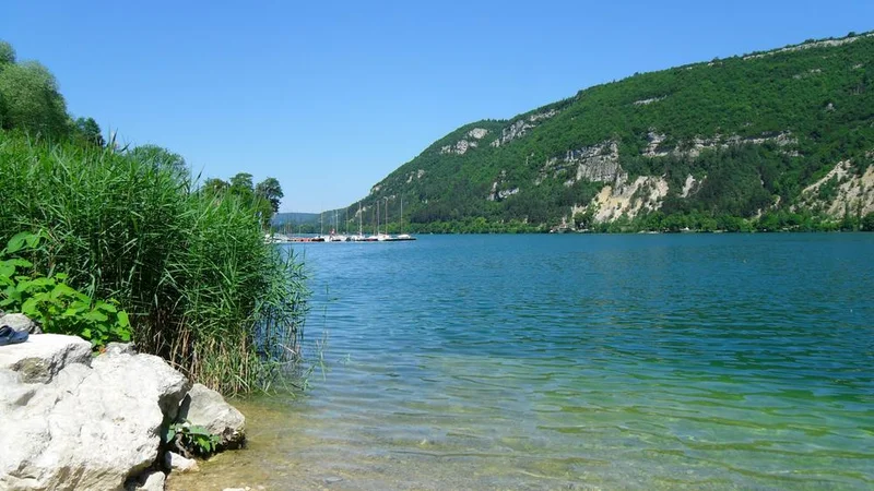 VTT Parcours VTT 65 bleu - Plaine de Saint Martin - Espace FFC Ain Forestière · Nantua