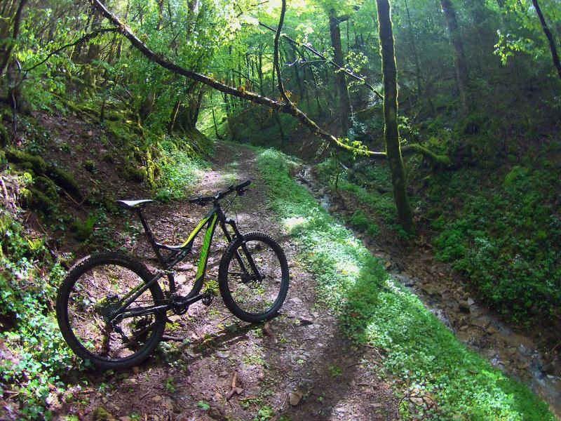 VTT Circuit VTT n°4 (rouge) - Forêt et contreforts du Revermont · Val-Revermont
