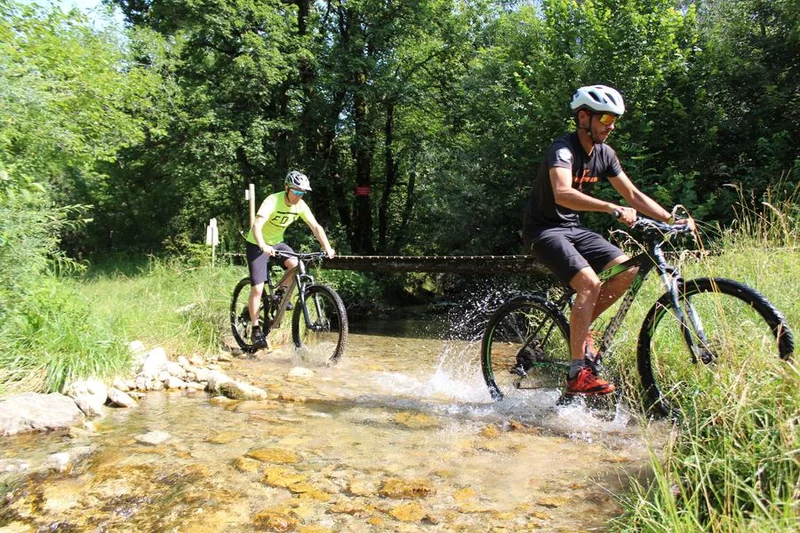 VTT Parcours VTT 51 bleu - Marais de Vaux les Teillères - Espace FFC Ain Forestière · Plateau d'Hauteville