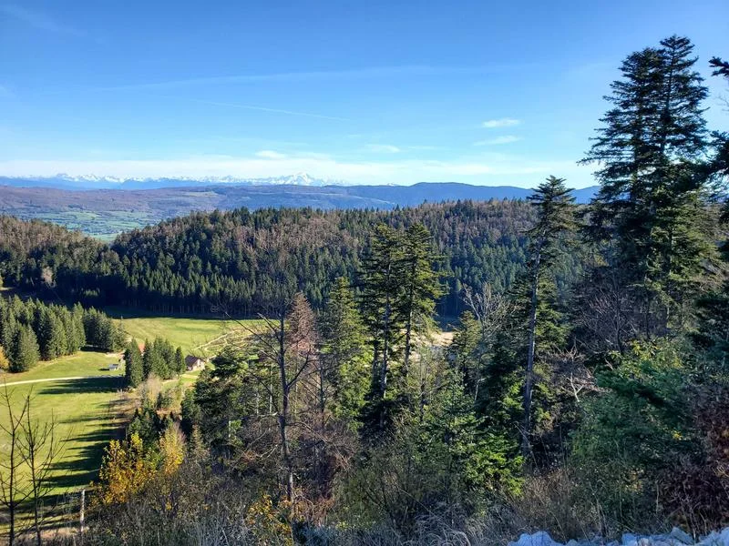 VTT Parcours VTT 62 vert - Le Liaz d'Amont - Espace FFC Ain Forestière · Plateau d'Hauteville