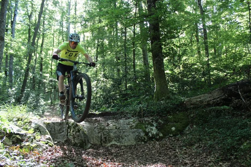 VTT Parcours VTT 54 bleu - Aranc et les Hauts d'Evosges - Espace FFC Ain Forestière · Aranc