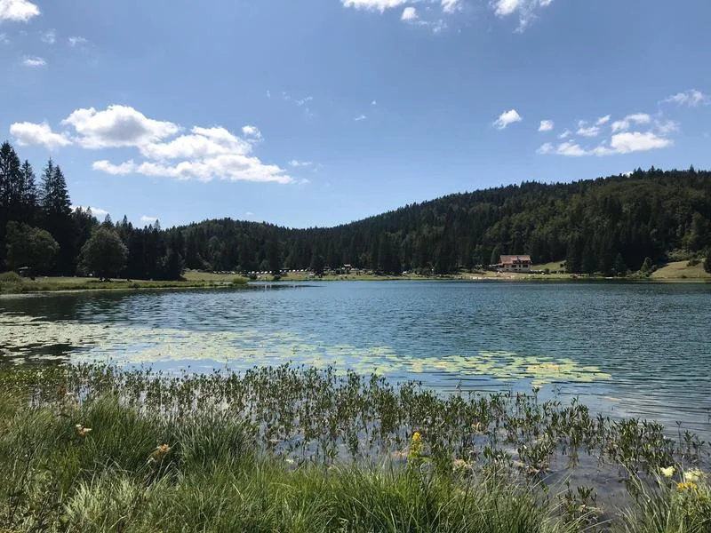 VTT Parcours VTT 68 bleu - Lac Genin et les bois de Puthod et des Millières - Espace FFC Ain Forestière · Charix