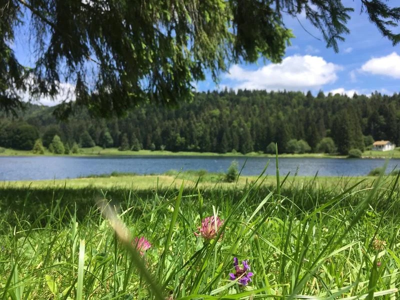 VTT Parcours VTT 67 vert - Lac Genin et les hauts de Charix - Espace FFC Ain Forestière · Charix