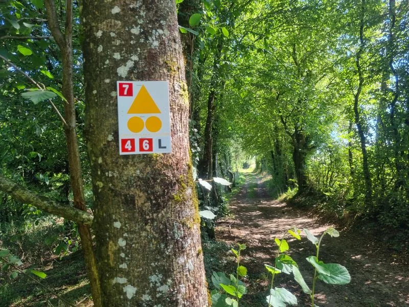 VTT Circuit VTT-VTC n°6 (rouge) Chemins des bois de Bresse · Marboz