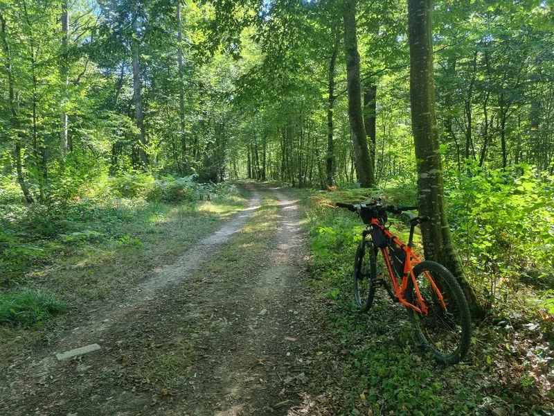 VTT Circuit VTT-VTC n°6 Chemins des bois de Bresse (petite boucle) · Saint-Étienne-du-Bois