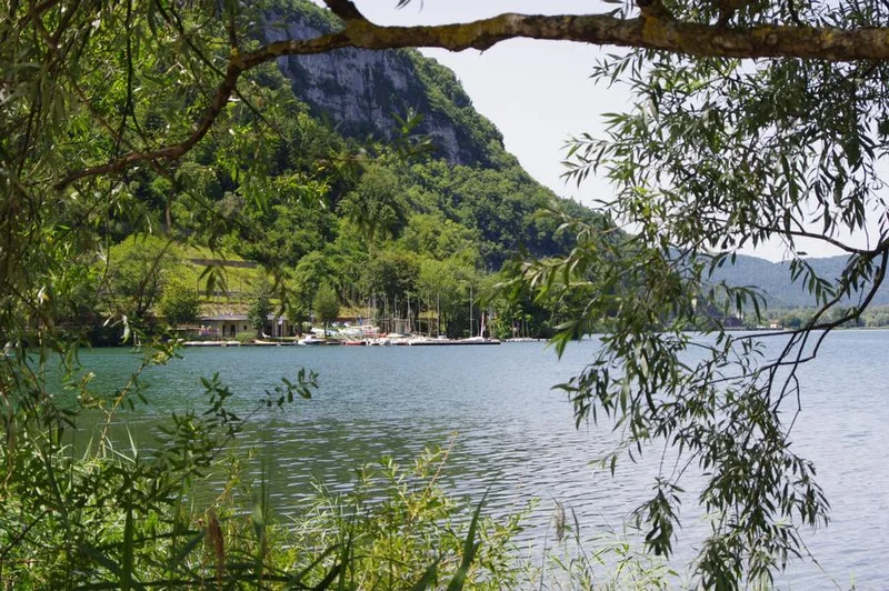 VTT Parcours VTT 66 bleu - Forêt de Coléjard - Espace FFC Ain Forestière · Nantua