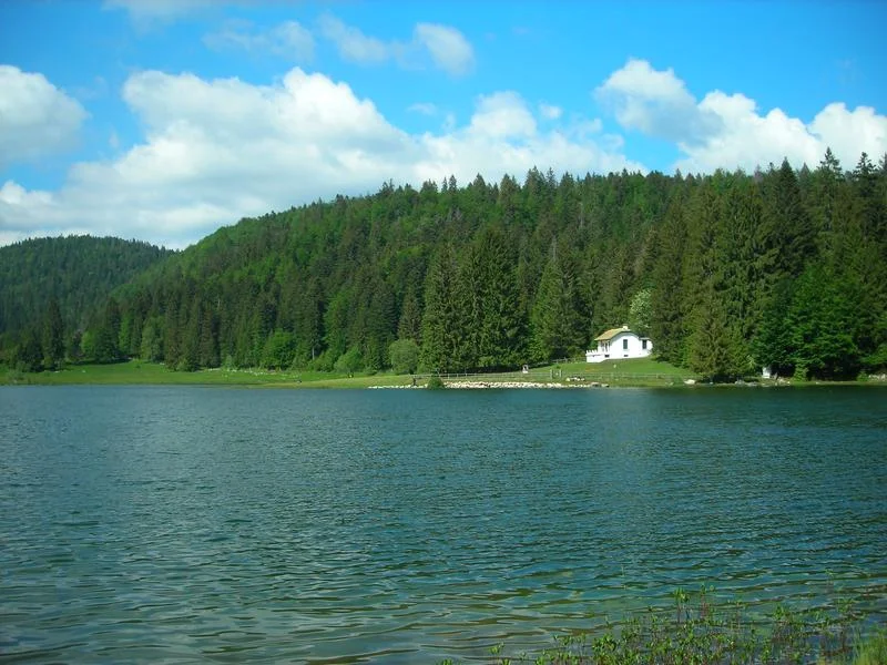 VTT Parcours VTT 70 rouge - D'Oyonnax au lac Genin - Espace FFC Ain Forestière · Oyonnax