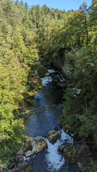VTT Parcours VTT 72 Rouge - Des Gorges de l'Oignin aux Gorges de l'Ain - Espace FFC Ain Forestière · Samognat