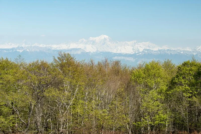 VTT Parcours VTT rouge N°40 - Boucle de Sur-Lyand - Espace FFC Ain Forestière · Corbonod