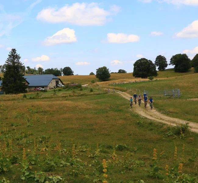 VTT Parcours VTT 14 rouge - Retord - les balcons du Mont Blanc - Espace FFC Ain Forestière · Haut Valromey